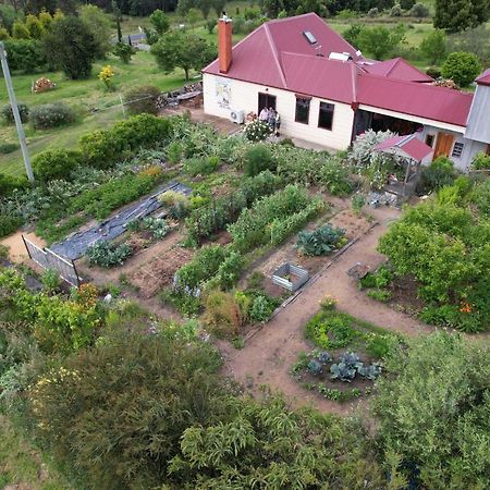 Cherry Top Farmstay - Boutique Eco Village Lilydale Экстерьер фото