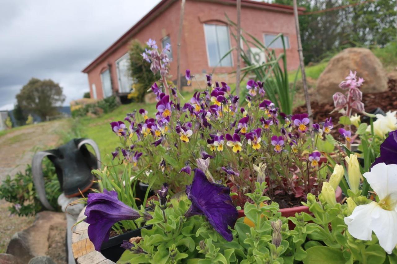 Cherry Top Farmstay - Boutique Eco Village Lilydale Экстерьер фото
