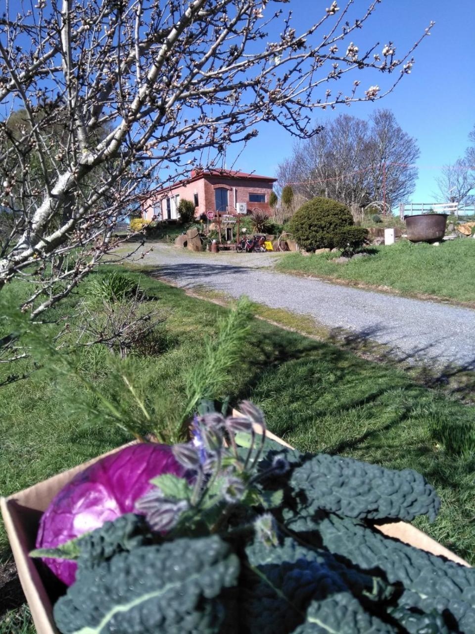 Cherry Top Farmstay - Boutique Eco Village Lilydale Экстерьер фото