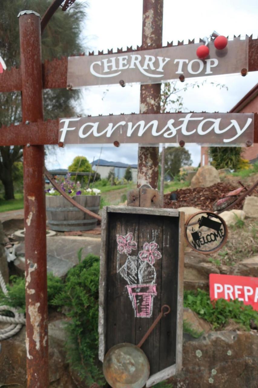 Cherry Top Farmstay - Boutique Eco Village Lilydale Экстерьер фото