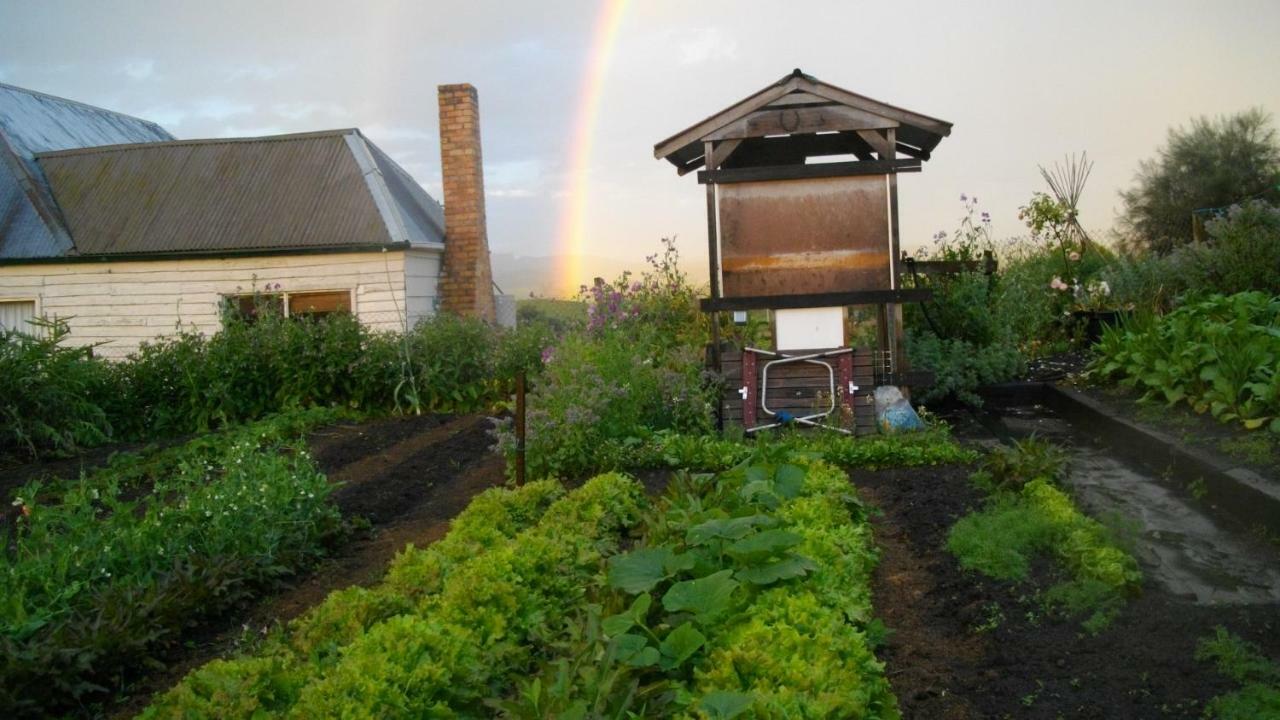 Cherry Top Farmstay - Boutique Eco Village Lilydale Экстерьер фото