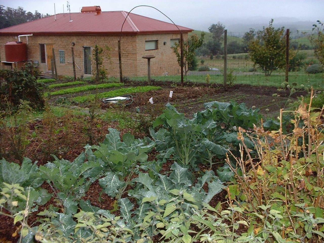 Cherry Top Farmstay - Boutique Eco Village Lilydale Экстерьер фото