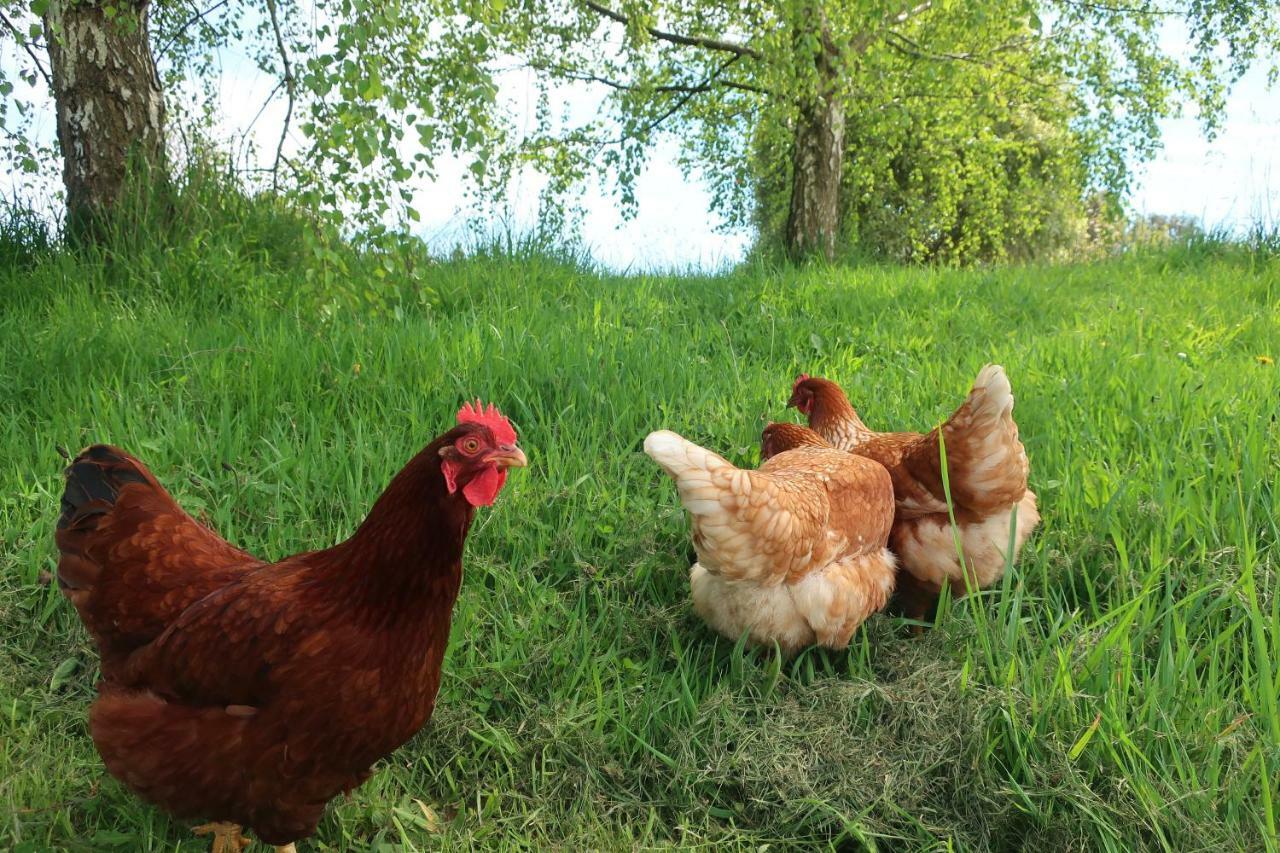 Cherry Top Farmstay - Boutique Eco Village Lilydale Экстерьер фото