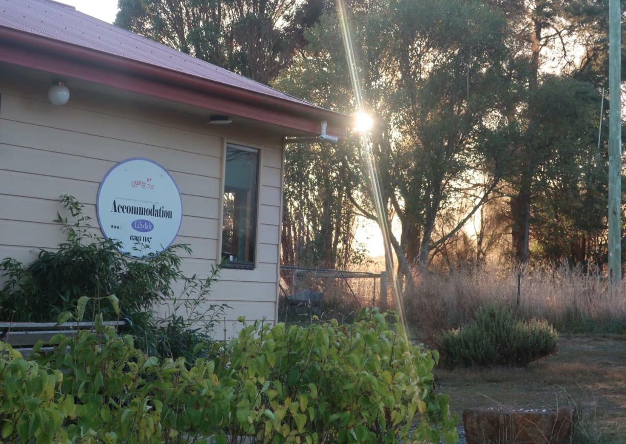 Cherry Top Farmstay - Boutique Eco Village Lilydale Экстерьер фото