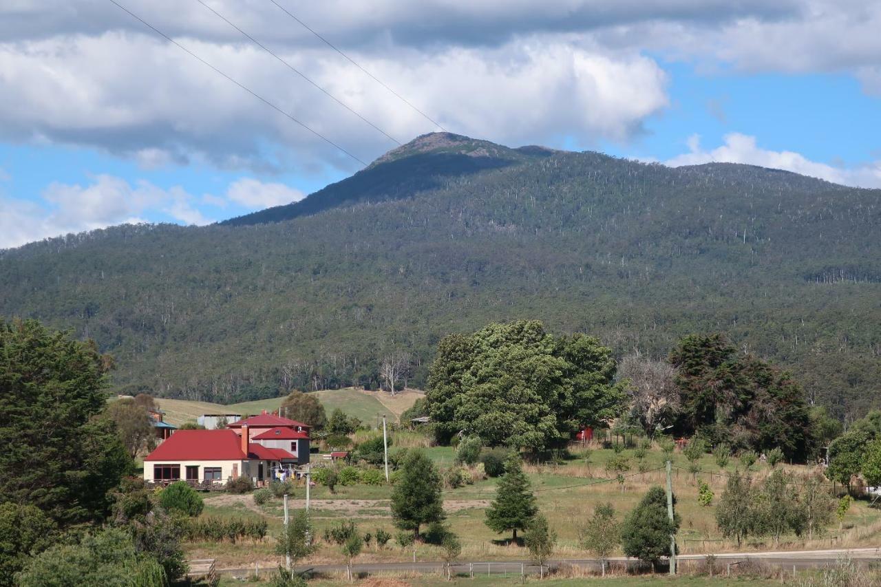 Cherry Top Farmstay - Boutique Eco Village Lilydale Экстерьер фото